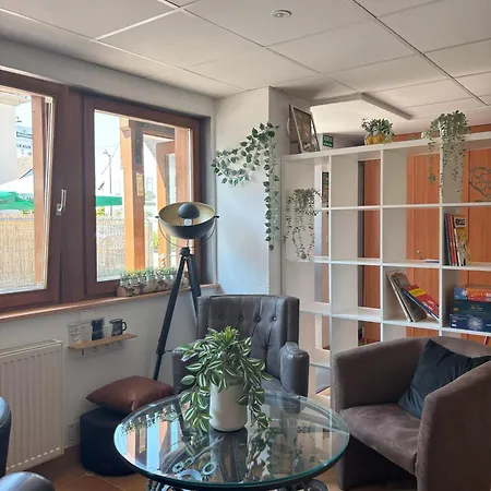 Chez Anabel Et Stéphane 3* Battenheim